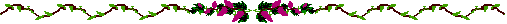 bar111.gif